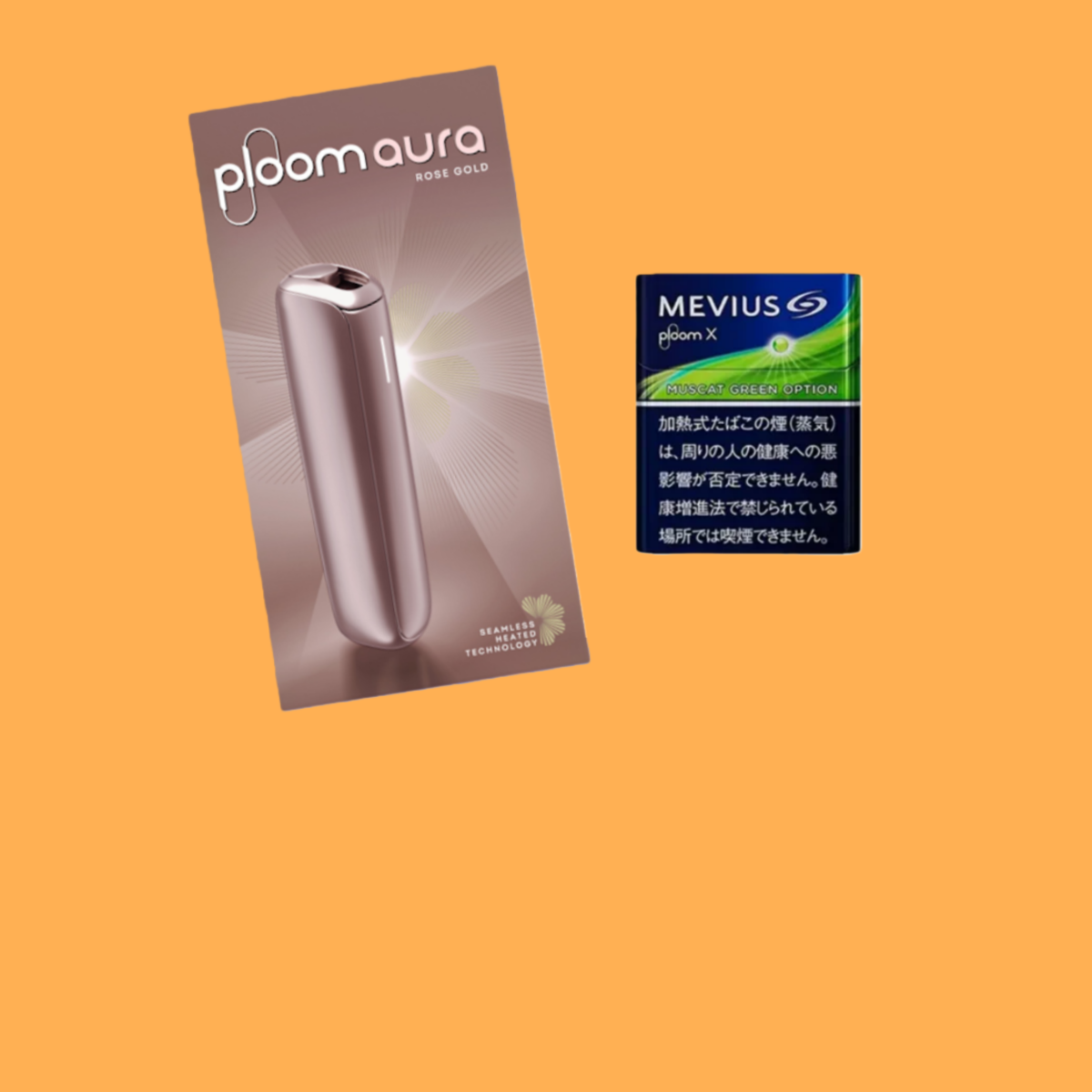 微信图片_20260120012641_339_190_副本_副本